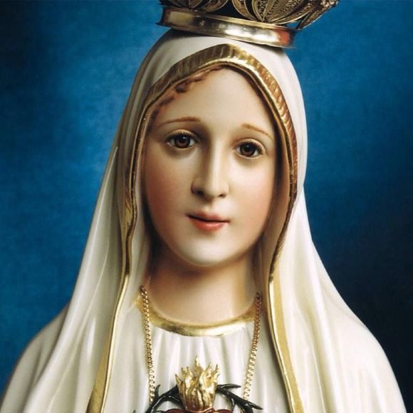 Meet your Posher, Luz - Picture 1 of 1